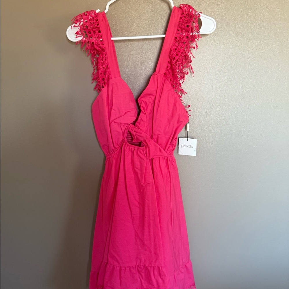 Peixoto Farrah Lace Mini Dress